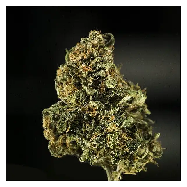 Royal Dwarf - Royal Queen Seeds 4