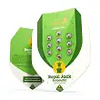 Royal Jack Auto - Royal Queen Seeds