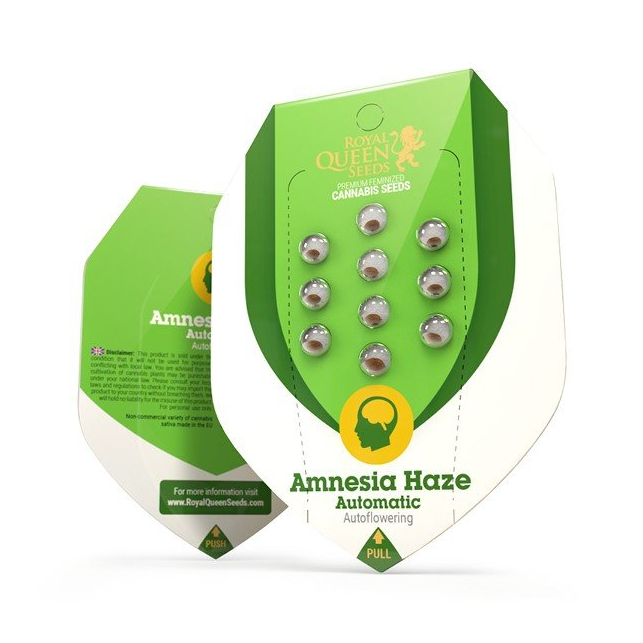 Amnesia Haze Automatic - Royal Queen Seeds