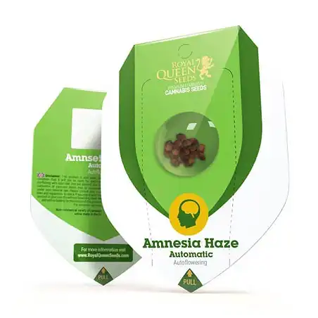 Amnesia Haze Automatic - Royal Queen Seeds 1