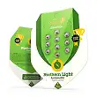 Northern Lights Auto Royal Queen Seeds Northern Lights Auto Royal Queen Seeds