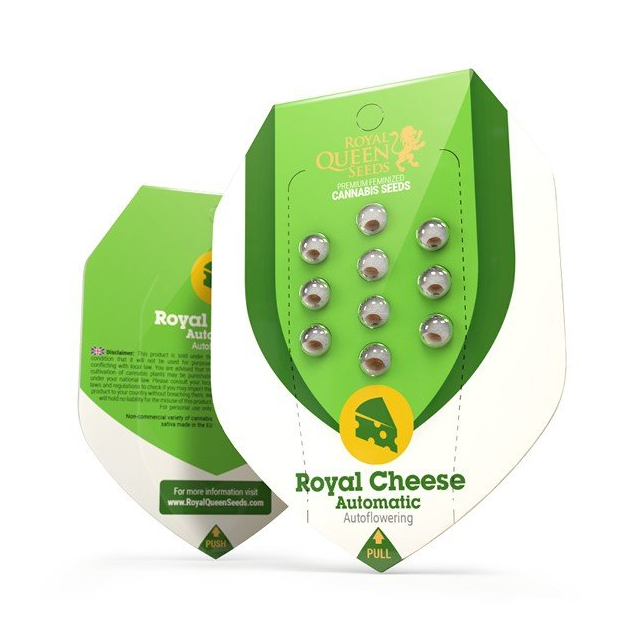 Royal Cheese Automatic - Royal Queen Seeds 2