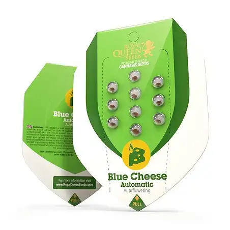 Blue Cheese Auto Royal Queen Seeds