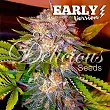 Caramelo Early Version - Delicious Seeds 1 Caramelo Early Version - Delicious Seeds 1