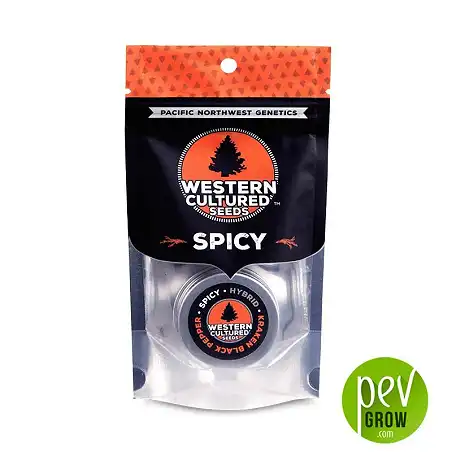 Kraken Black Pepper - Spicy - Western Culture Seeds