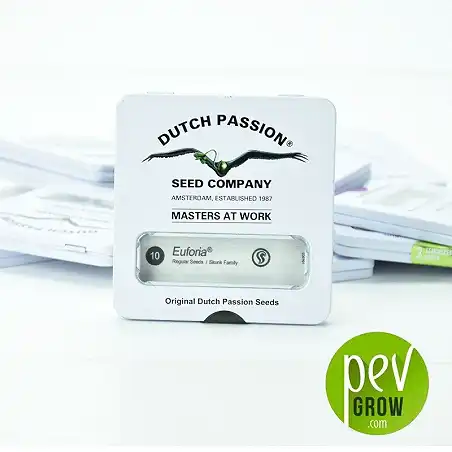 Euforia - Dutch Passion 1