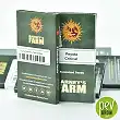 Peyote Critical - Barneys Farm Peyote Critical - Barneys Farm