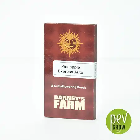 Pineapple Express Auto - Barneys Farm 4