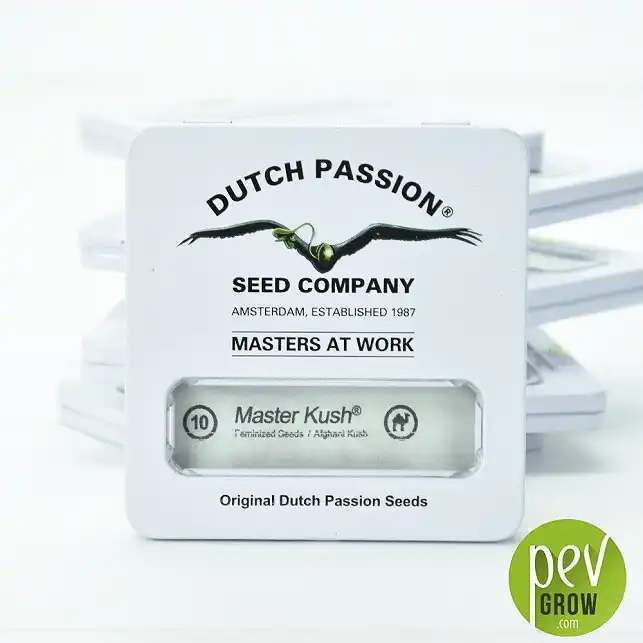 Master Kush - Dutch Passion 2