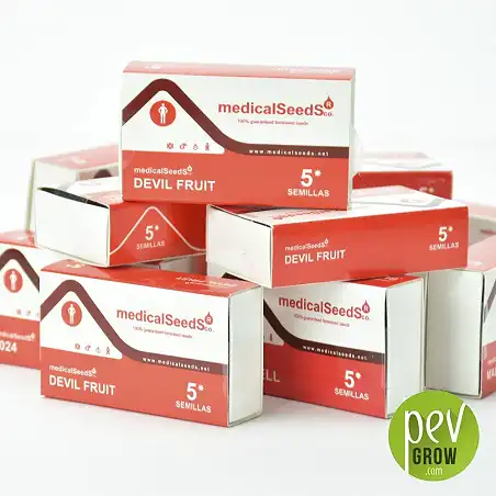 Envase protección de Medical Seeds, Devil Fruit formato de 5 semillas.