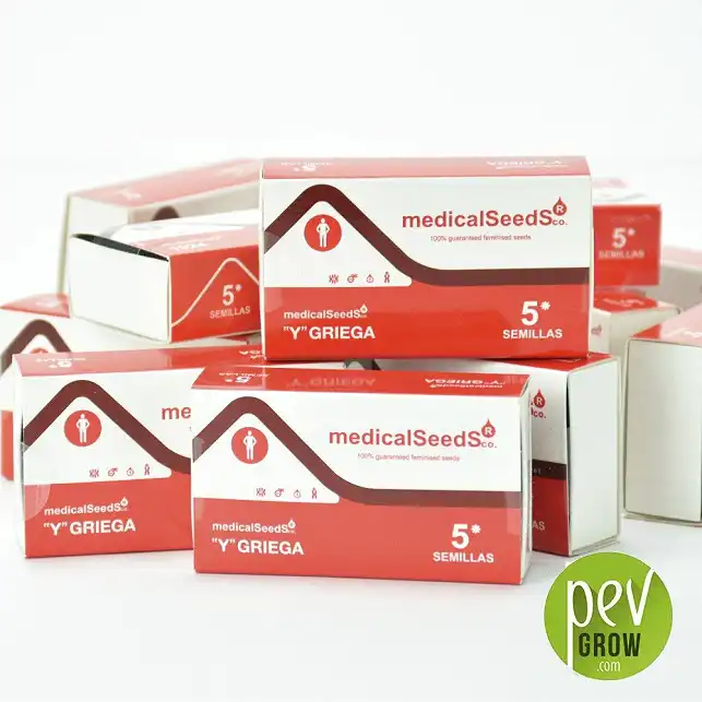 Envase protección de Medical Seeds,  Y Griega formato de 5 semillas.