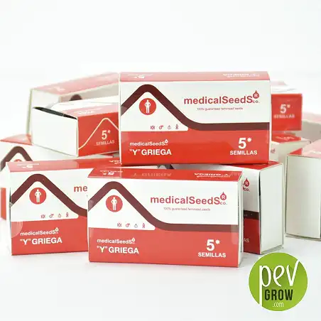 Emballage protecteur de Medical seeds, Y Griega format de 5 graines.