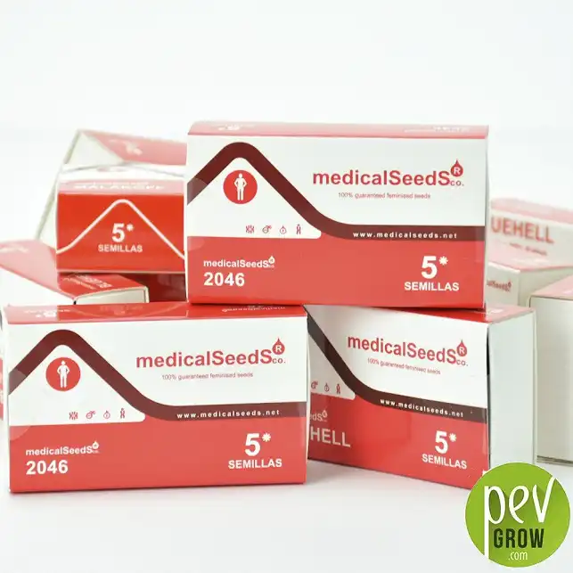 2046 - Medical Seeds 1