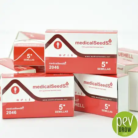 2046 - Medical Seeds 1