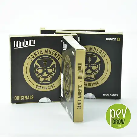 Santa Muerte - Blimburn Seeds