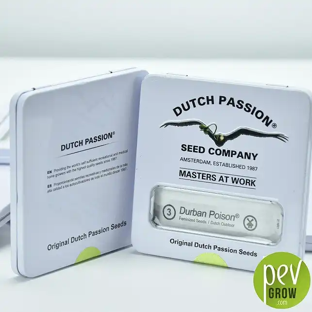 Durban Poison - Dutch Passion 1