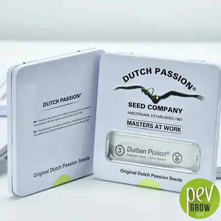 Durban Poison - Dutch Passion 1