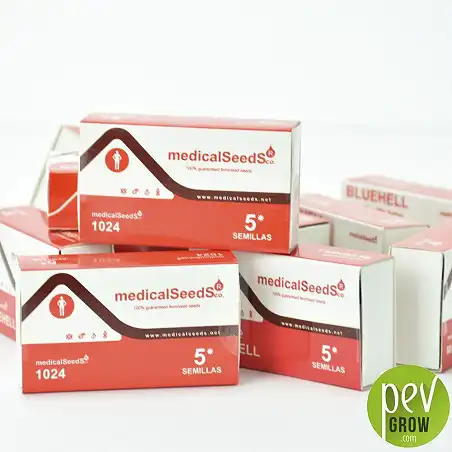 Envase protección de Medical Seeds,  1024 formato de 5 semillas.