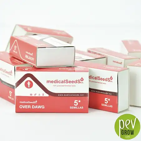 Envase protección de Medical Seeds,  Over Dawg formato de 5 semillas.