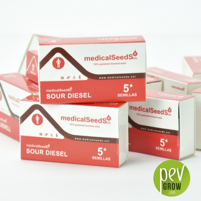 BCN Sour Diesel - Medical Seeds 3