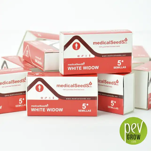 Protective packaging of Medical Seeds, White Widow format of 5 seeds.