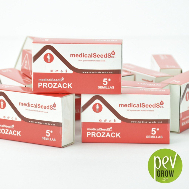 Prozack (Medicinal) 1 - Medical Seeds