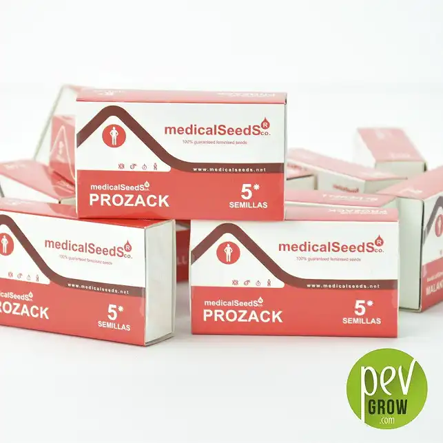 Formato de 5 semillas, envase original de Medical Seeds variedad Prozack