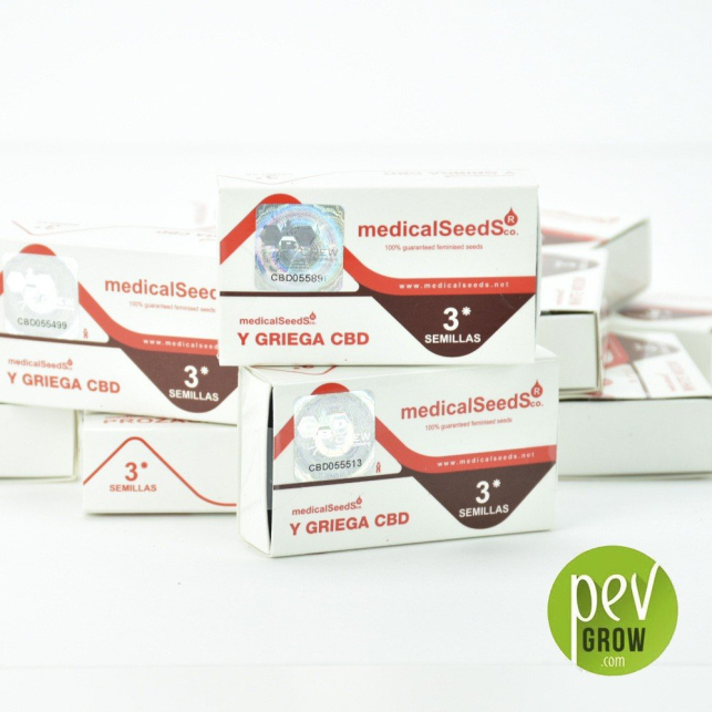 Y Griega CBD 1