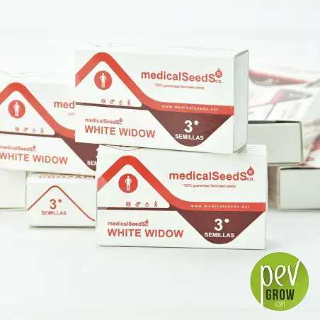 Protective packaging of Medical Seeds, White Widow format of 3 seeds.