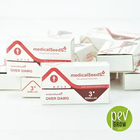 Emballage protecteur de Medical seeds, Over Dawg format de 3 graines.