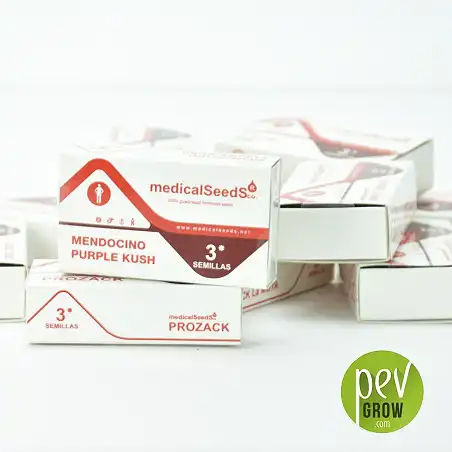 Envase protección de Medical Seeds, Mendocino Purple Kush formato de 3 semillas.