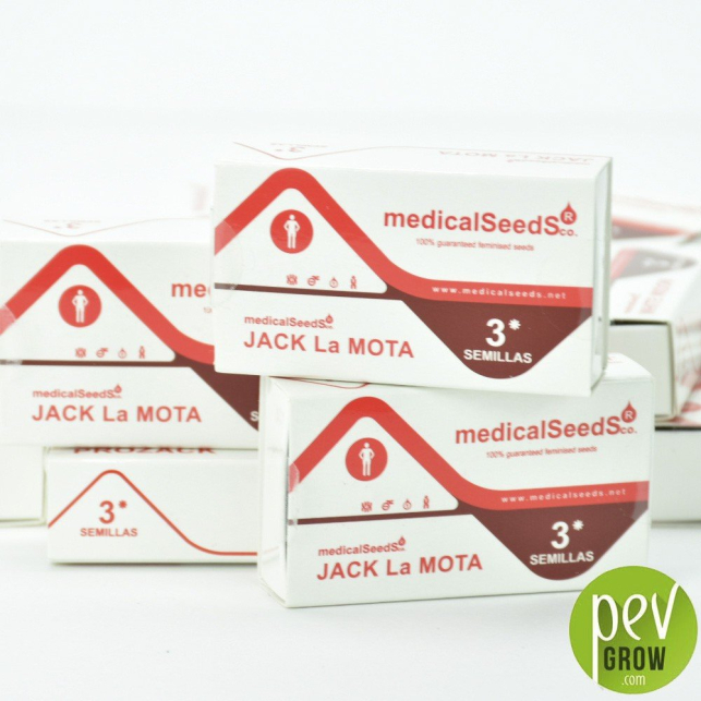 Jack La Mota - Medical Seeds