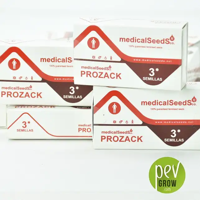 Formato de 3 semillas, envase original de Medical Seeds variedad Prozack