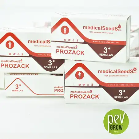 Formato de 3 semillas, envase original de Medical Seeds variedad Prozack