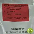 Semillas de Cáñamo Félina 32 - información Semillas de Cáñamo Félina 32 - información