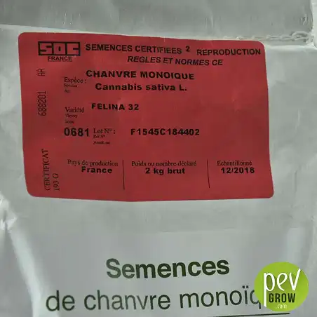 Semillas de Cáñamo Félina 32 - información