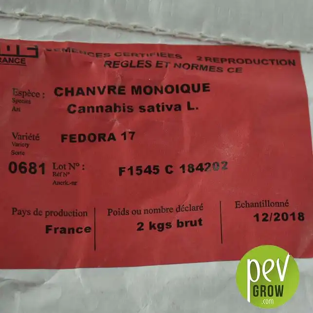 Semillas de Cáñamo Fédora 17 - información