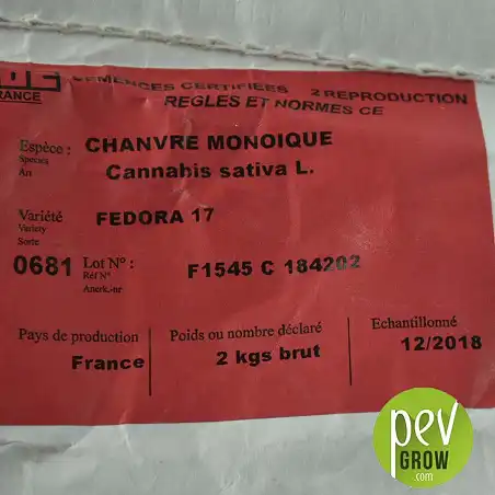 Semillas de Cáñamo Fédora 17 - información