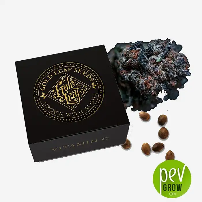 Vitamin C - Gold Leaf Gardens