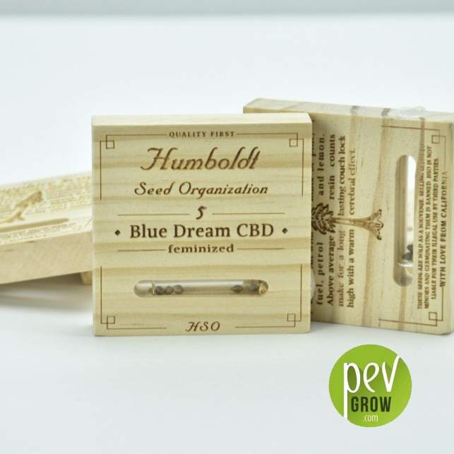 Blue Dream CBD