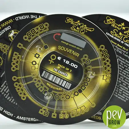 The Church - Green House