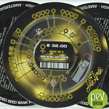 Northern Light Auto - Green House