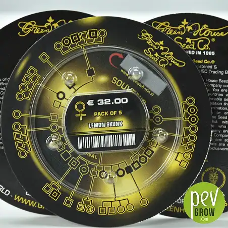 Lemon Skunk - Green House