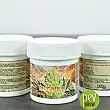 Mega Bud THC pour l'engraissement des bourgeons dans un pot en forme de pot de 100gr Mega Bud THC pour l'engraissement des bourgeons dans un pot en forme de pot de 100gr