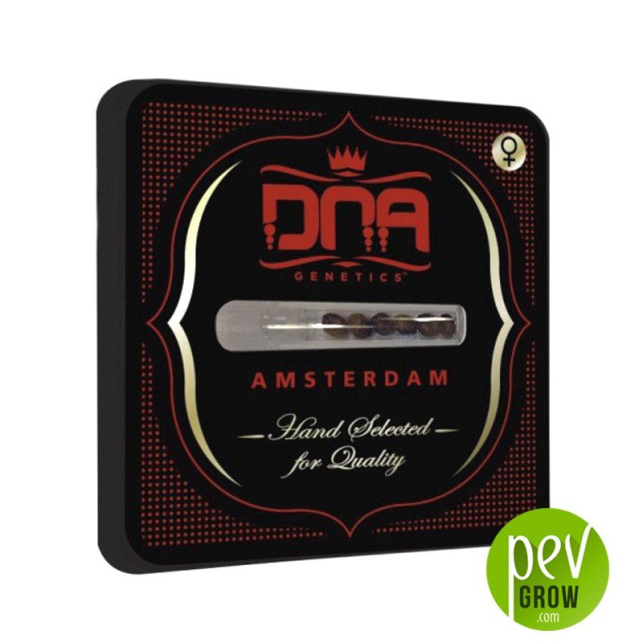 DNA mix pack - DNA Genetics