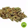 New's Haze Bulk Seed Bank