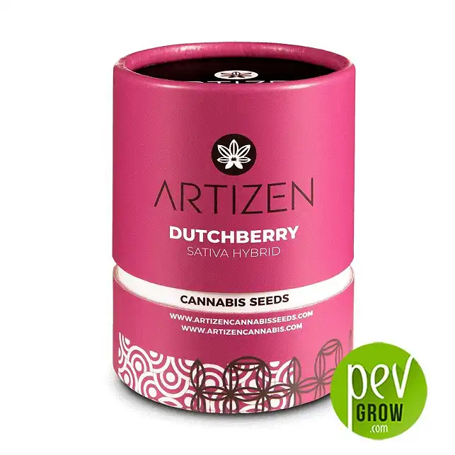 Dutchberry - Artizen Seeds 1