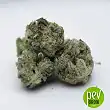 Cookies USA bud - Pyramid Seeds