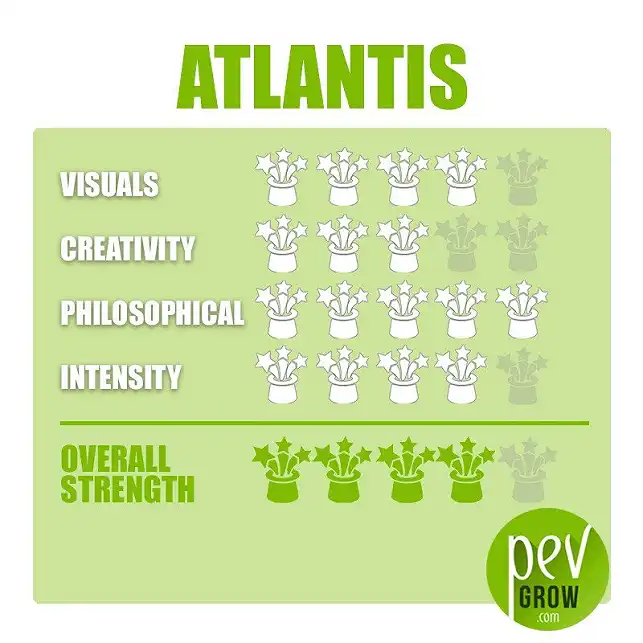 Magic Truffles Atlantis - Data Sheet
