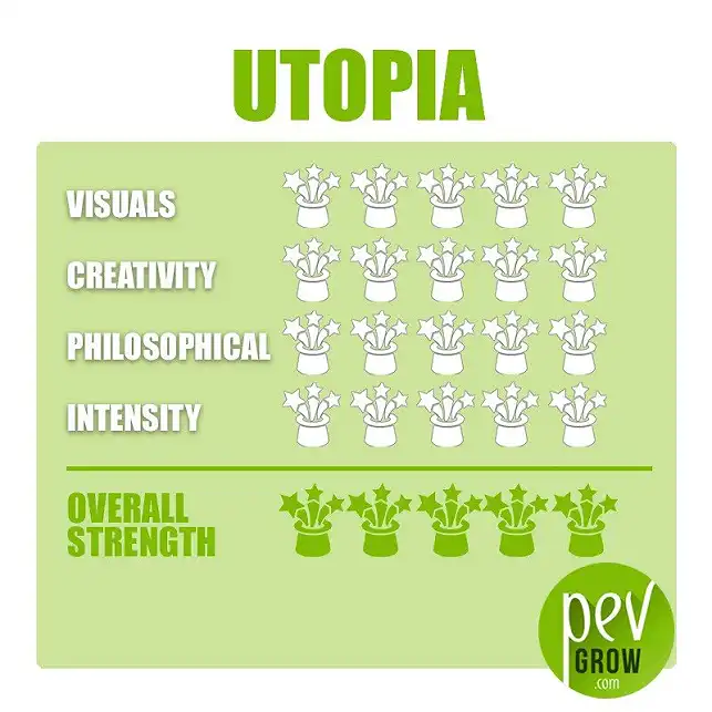 Magic Truffles Utopia - Data Sheet